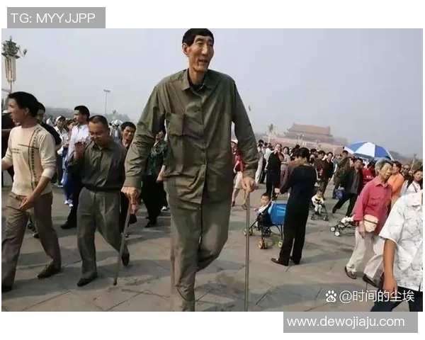 太原姚明峰的传奇故事与篮球梦想的追逐之路